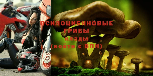 не бодяженный Армянск