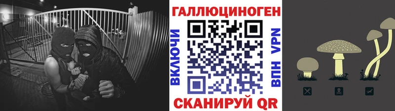 Галлюциногенные грибы MAGIC MUSHROOMS  Купить где  Тосно 